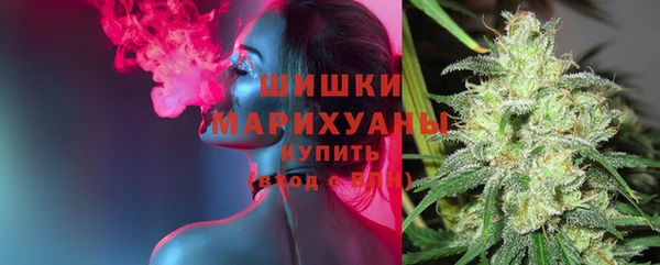 ПСИЛОЦИБИНОВЫЕ ГРИБЫ Аркадак